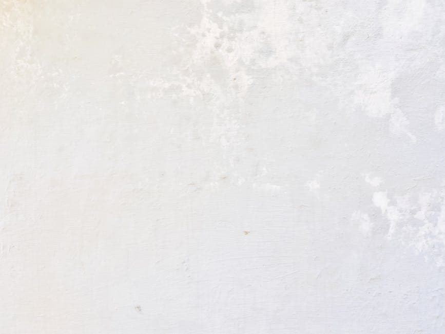White Plaster Wall Texture - Powai by Horizon Classic Interior & Glass Film
