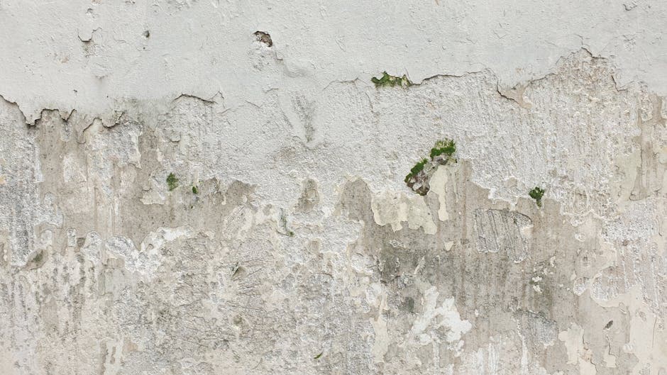 White Plaster Wall Texture - Lower Parel by Horizon Classic Interior & Glass Film