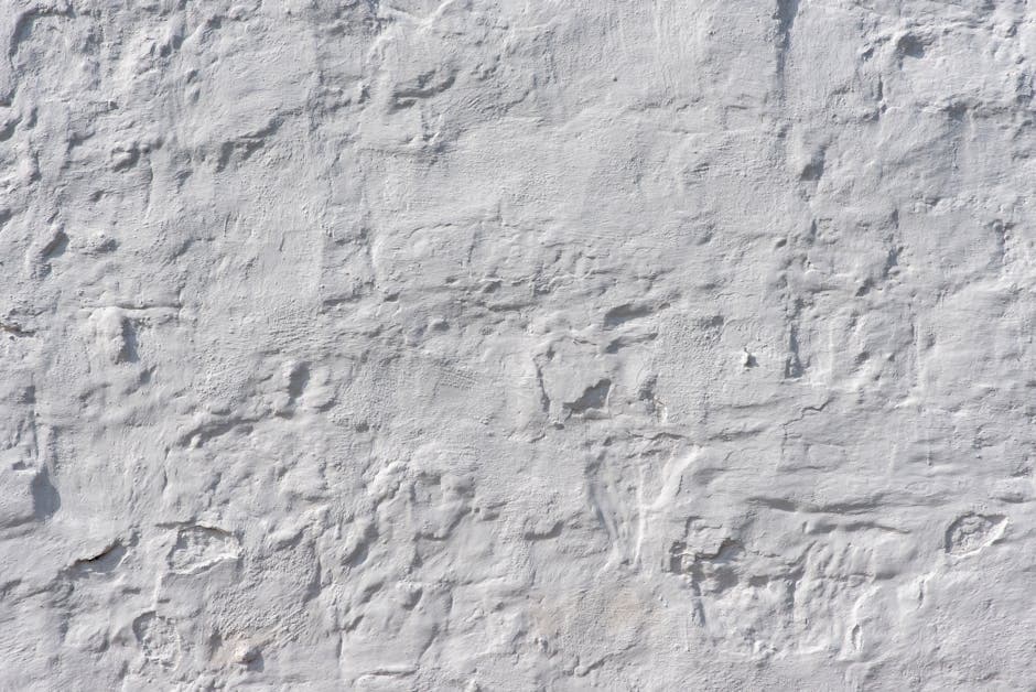 White Plaster Wall Texture - Khar - Wall & Surface in Khar
