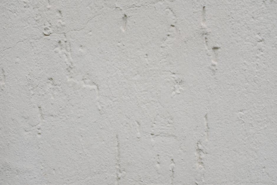 White Plaster Wall Texture - Andheri West 2 - Wall & Surface in Andheri West