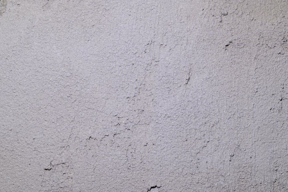 White Plaster Wall Texture - Bandra 2 - Wall & Surface in Bandra