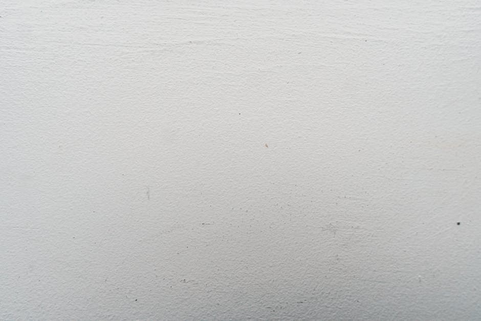 White Plaster Wall Texture - Thane 2 - Wall & Surface in Thane