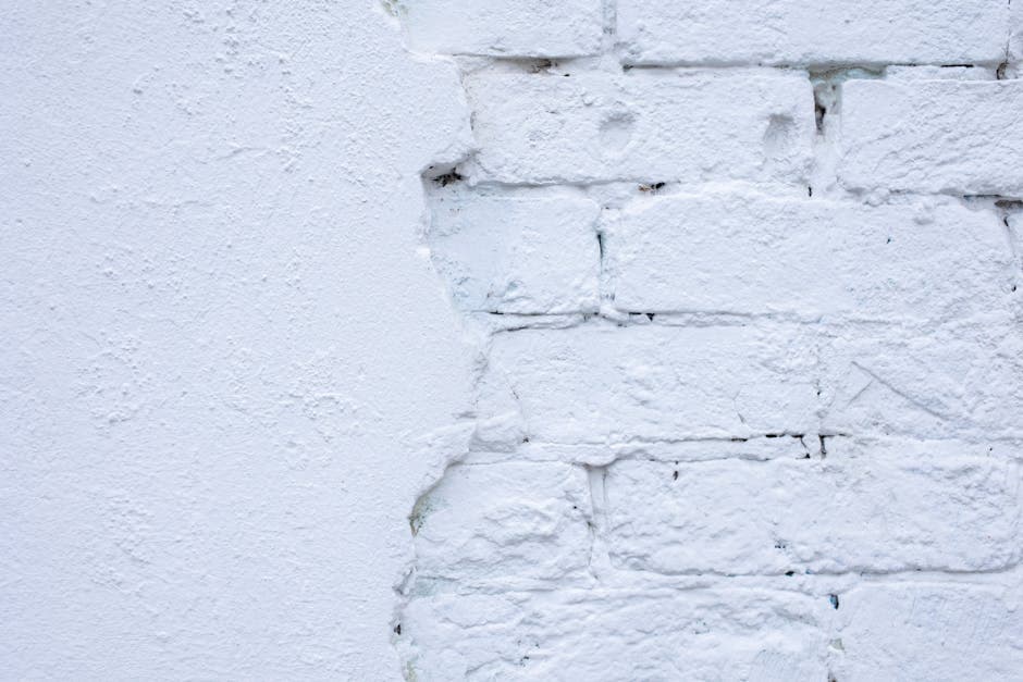 White Plaster Wall Texture - Goregaon 2 - Wall & Surface in Goregaon