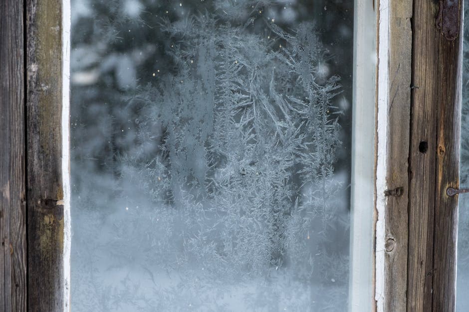 Frosted Glass Film for Windows Installation in Mumbai
